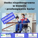 Obrazek dla: Poradnik dla osób niepełnosprawnych